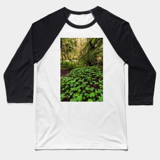 Clovers on the Forest Floor Baseball T-Shirt